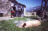 Arette-Pierre-St Martin (1640m)